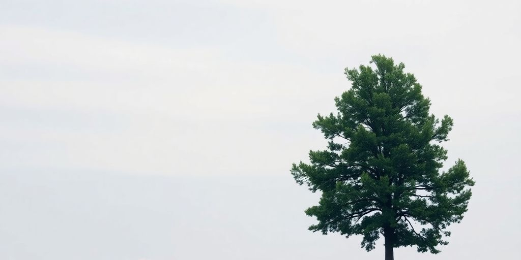 Un arbre solide dans un paysage paisible.