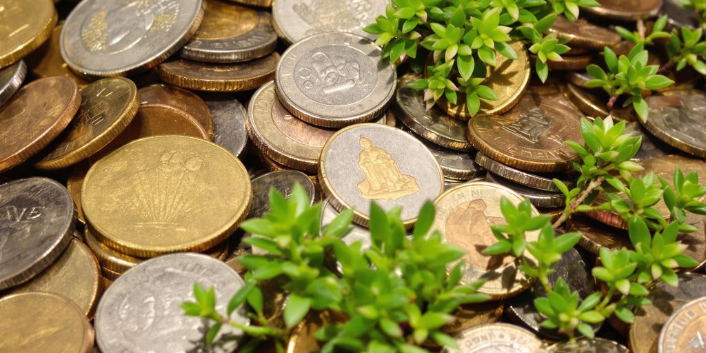 Pièces de monnaie et petites plantes vertes