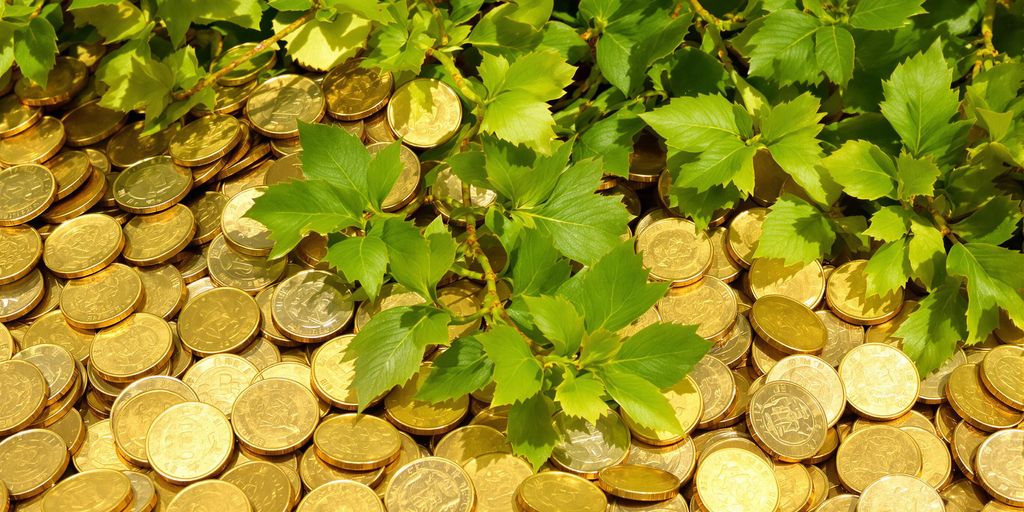 Pièces de monnaie et feuilles vertes.
