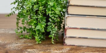Pile de livres sur une table en bois avec une plante verte.