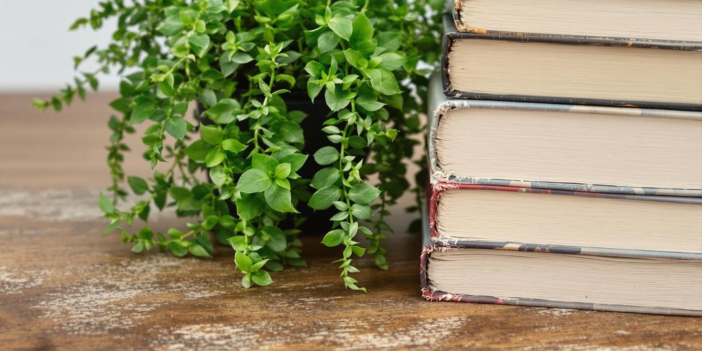 Pile de livres sur une table en bois avec une plante verte.