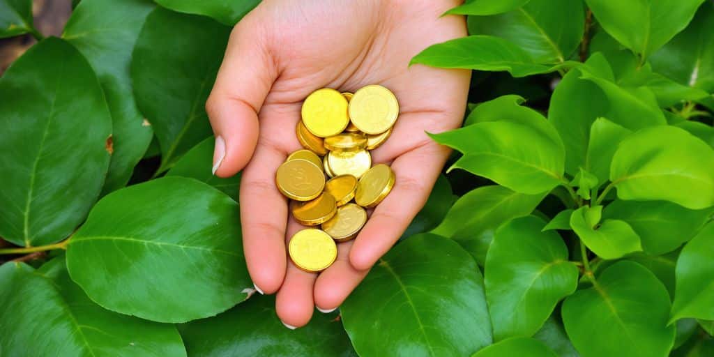 Une main tenant des pièces de monnaie et des feuilles vertes.