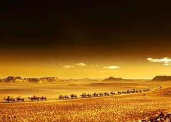Route de la soie et caravane d'or dans le désert.