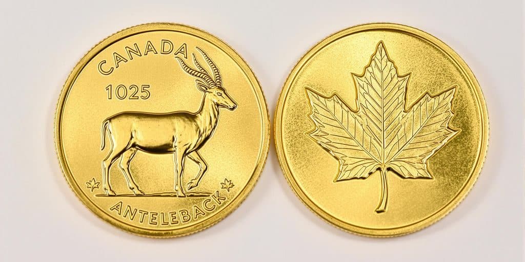 Pièces d'or Krugerrand et Maple Leaf juxtaposées.