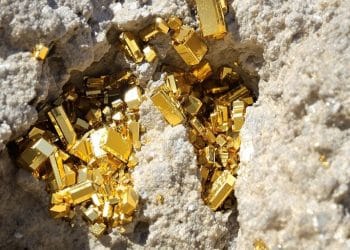 Cristaux d'or brut dans une veine de quartz.