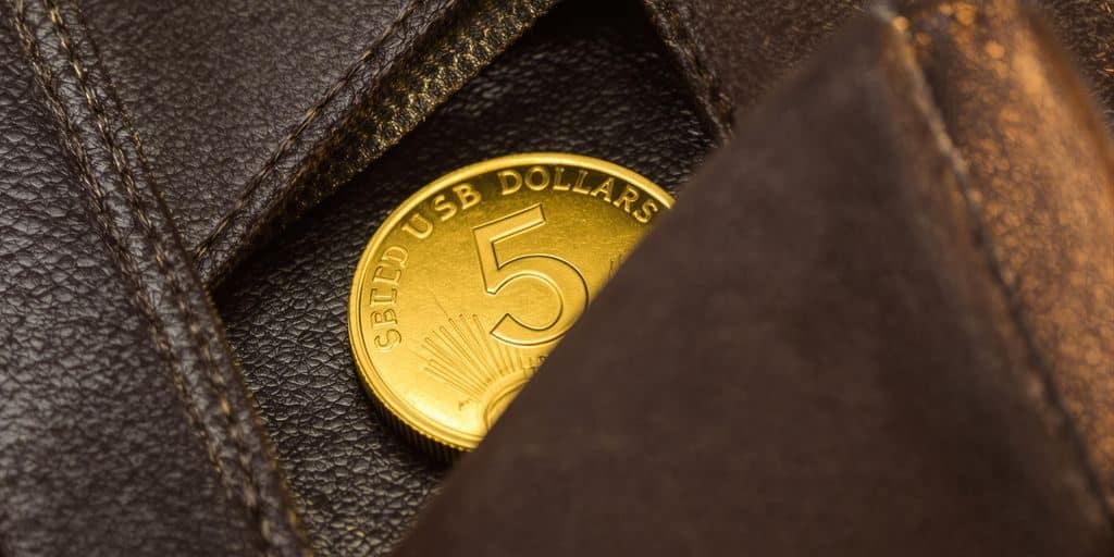 Pièce d'or américaine de 5 dollars dans un portefeuille