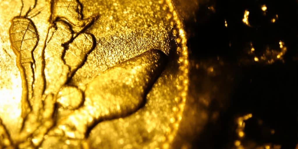 Gros plan sur un Krugerrand doré de 1979.