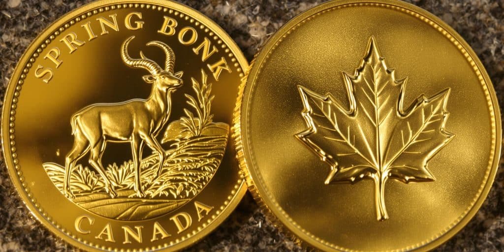 Pi'ces d'or Krugerrand et Maple Leaf côte à côte.